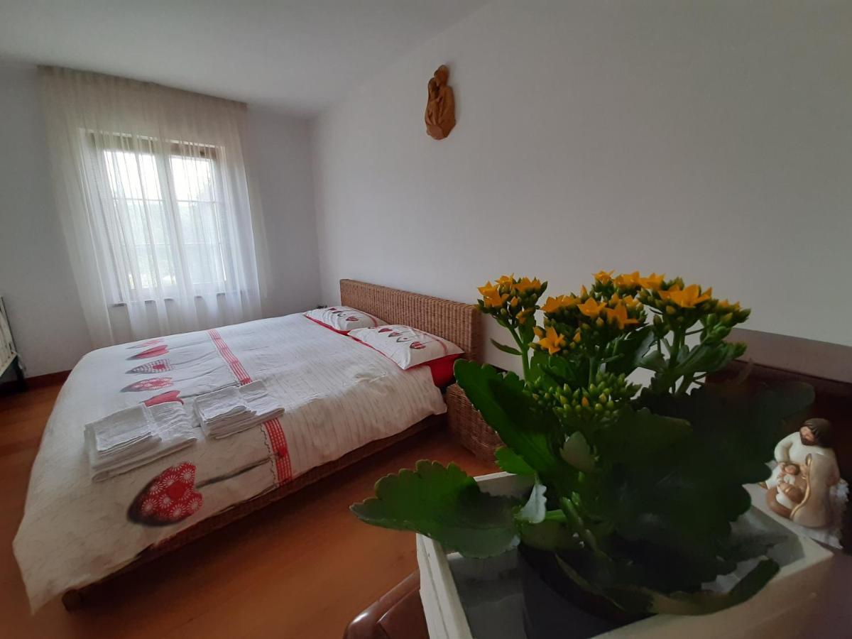San Marcello Residence Feltre Luaran gambar