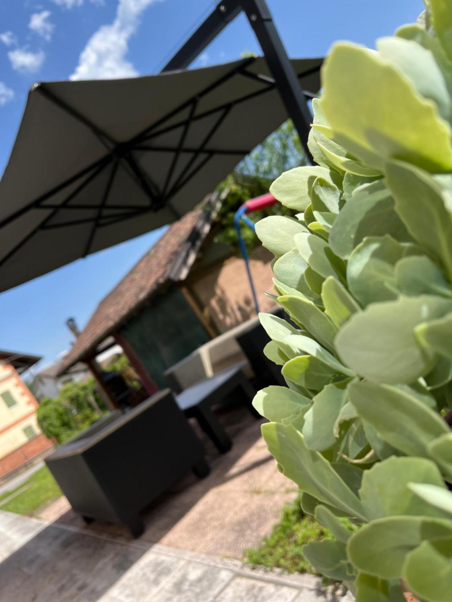 San Marcello Residence Feltre Luaran gambar